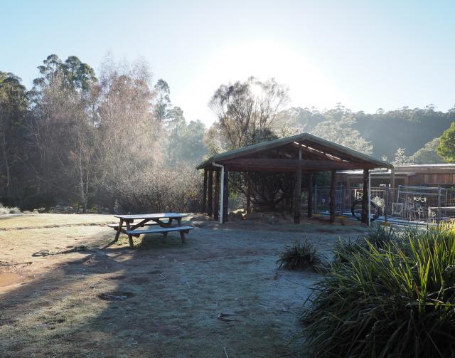 A frosty morning at Peregrine School