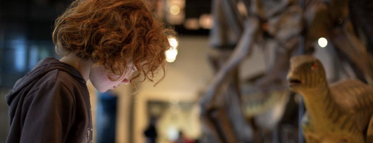 A child looking at a dinosaur